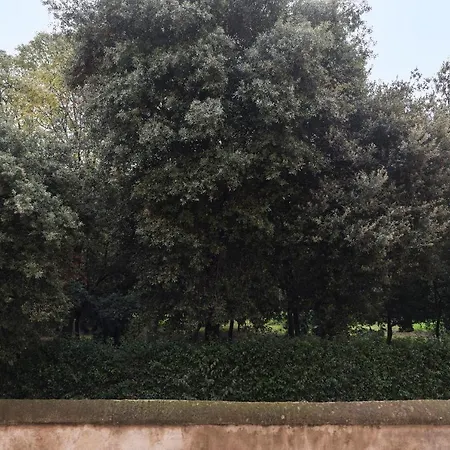 Guesthost - Ad Un Passo Da Borghese